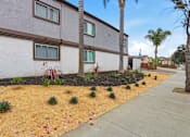 Thumbnail 18 of 55 - A row of houses with a sidewalk and landscaping in front.