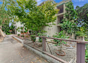 Thumbnail 13 of 17 - A tree with green leaves is in front of a building.