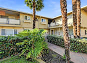 Thumbnail 1 of 33 - A palm tree stands in front of a building.