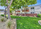 Thumbnail 18 of 41 - A tree in a yard in front of a building.