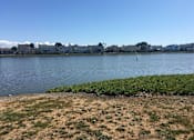 Thumbnail 16 of 26 - a body of water with houses on the other side of it
