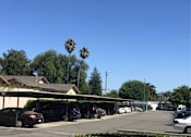 Thumbnail 25 of 30 - a parking lot filled with cars and palm trees