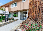 Thumbnail 12 of 43 - A tree is in front of a building with a sign that says "Robbies Apartments".