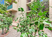 Thumbnail 10 of 17 - A building with a balcony and a tree in front of it.