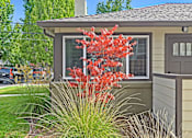 Thumbnail 23 of 27 - A house with a red tree in front of it.