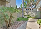 Thumbnail 7 of 37 - A palm tree is in front of a building.