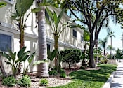 Thumbnail 18 of 33 - A white building with a tree in front of it.