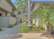 Thumbnail 6 of 37 - A residential area with a sidewalk and a palm tree.