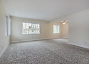 Thumbnail 10 of 29 - A large empty room with a carpeted floor and a window with blinds.