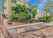 Thumbnail 11 of 17 - A tree trunk is in the foreground of a photo showing apartment buildings.