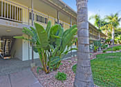 Thumbnail 8 of 38 - A large green plant in front of a building with the number 233 on it.