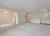 Thumbnail 17 of 29 - Empty room with carpeted floor and white walls.