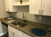 Thumbnail 19 of 43 - A kitchen with a sink and a plant on the counter.