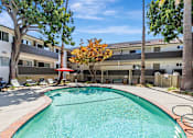 Thumbnail 12 of 43 - A swimming pool surrounded by trees and a building in the background.