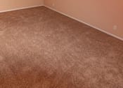 Thumbnail 19 of 25 - an empty room with a carpeted floor and a window
