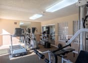 Thumbnail 12 of 23 - a gym with weights and cardio equipment at the village