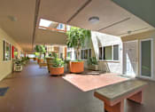 Thumbnail 5 of 23 - Enclosed Courtyard at Belmont Square, California