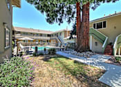 Thumbnail 7 of 20 - A tree in a yard with a building in the background.