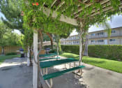 Thumbnail 26 of 35 - Picnic Area at The Arbors at Mountain View, Mountain View, CA