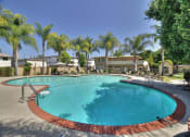 Thumbnail 6 of 35 - expansive swimming pool with palm trees at The Arbors at Mountain View, Mountain View, CA, 94040