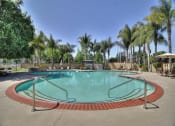 Thumbnail 3 of 35 - the swimming pool at the apartments has palm trees