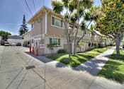 Thumbnail 2 of 37 - A residential street with houses and palm trees.