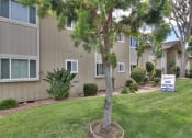Thumbnail 81 of 103 - Lush Green Outdoor Spaces at Balboa Apartments, Sunnyvale, California