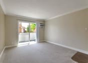 Thumbnail 47 of 80 - Plush Carpeting at Casa Alberta Apartments, Sunnyvale