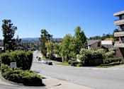 Thumbnail 5 of 8 - A street view of a residential area with cars parked on the side of the road.