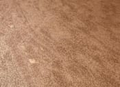 Thumbnail 21 of 25 - a room with a carpeted floor and a mirror