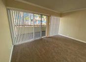 Thumbnail 12 of 23 - A room with a carpeted floor and a window with blinds.