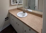Thumbnail 21 of 36 - a bathroom with a sink and a mirror
