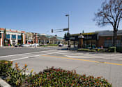 Thumbnail 13 of 22 - A street view with a traffic light and a car on the road.