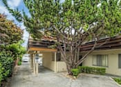 Thumbnail 1 of 33 - A tree in front of a building with a car parked in the driveway.