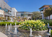 Thumbnail 38 of 92 - A fountain with water jets and yellow flowers in the foreground with a building in the background.