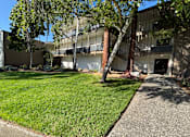 Thumbnail 1 of 19 - A tree in a yard in front of a building.