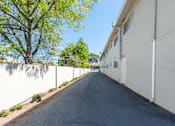 Thumbnail 6 of 32 - a large white building with a tree on the side of it