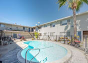 Thumbnail 10 of 32 - our apartments have a large pool and a building with a palm tree