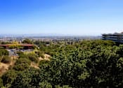 Thumbnail 5 of 6 - a view of the city from the top of a hill