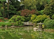 Thumbnail 24 of 27 - a garden with a pond and a bridge