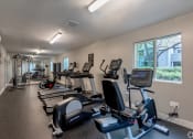 Thumbnail 6 of 20 - the gym has plenty of cardio equipment at the enclave at university heights apartments