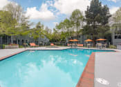 Thumbnail 7 of 20 - the swimming pool at our apartments
