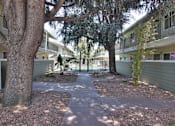 Thumbnail 10 of 29 - Backyard View at Mountain View Place, California, 94040