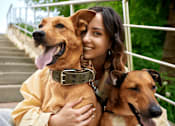 Thumbnail 11 of 41 - Pet friendstaircase.