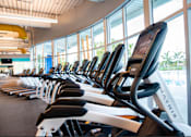 Thumbnail 18 of 18 - A row of treadmills are lined up in a gym.