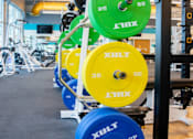 Thumbnail 15 of 18 - A gym with a row of blue, green and yellow weight plates.