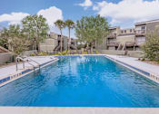 Thumbnail 12 of 50