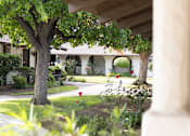 Thumbnail 37 of 38 - A view of a garden from under a wooden structure.
