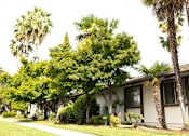 Thumbnail 6 of 38 - A house with a palm tree in front of it.