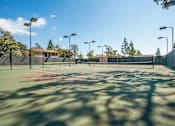 Thumbnail 43 of 57 - a tennis court at a school with trees in the background